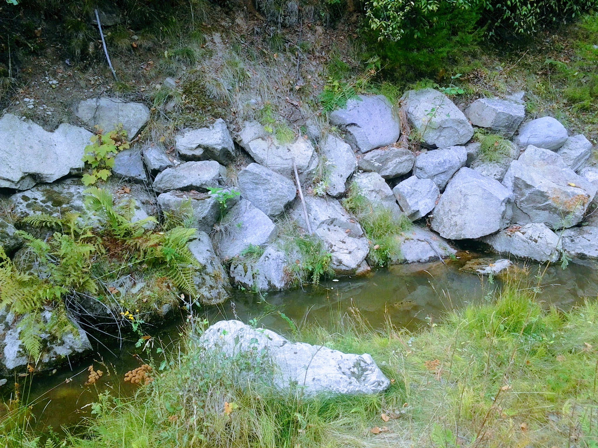 Engineered Stormwater Facilities